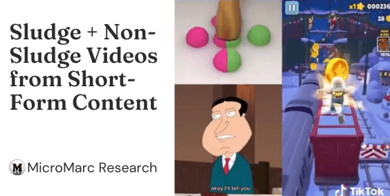 Multimodal Sludge Dataset